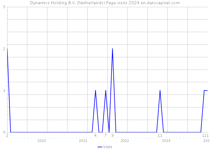 Dynamics Holding B.V. (Netherlands) Page visits 2024 