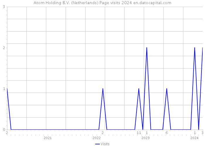 Atom Holding B.V. (Netherlands) Page visits 2024 