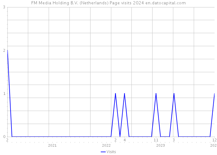 FM Media Holding B.V. (Netherlands) Page visits 2024 