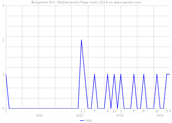 Brigantine B.V. (Netherlands) Page visits 2024 