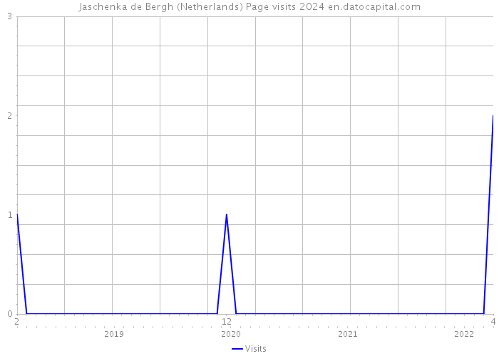 Jaschenka de Bergh (Netherlands) Page visits 2024 