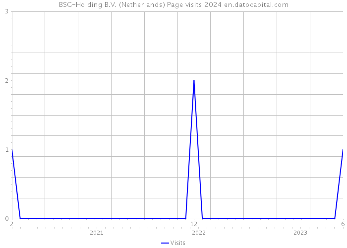 BSG-Holding B.V. (Netherlands) Page visits 2024 