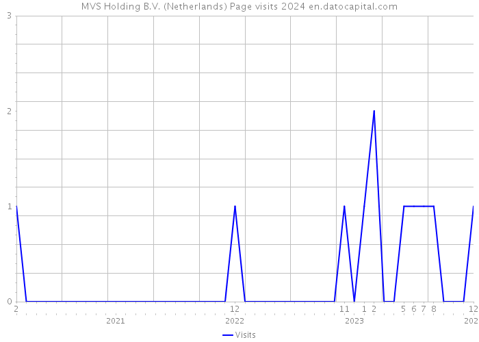 MVS Holding B.V. (Netherlands) Page visits 2024 