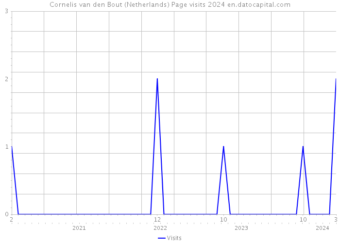Cornelis van den Bout (Netherlands) Page visits 2024 