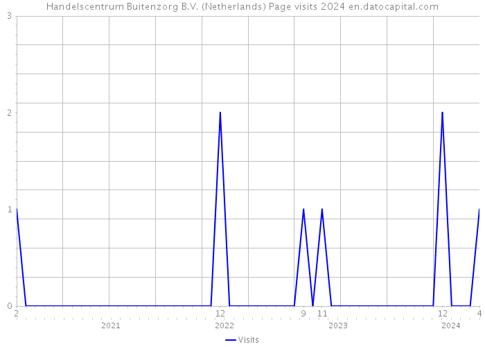 Handelscentrum Buitenzorg B.V. (Netherlands) Page visits 2024 