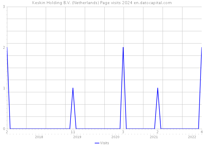 Keskin Holding B.V. (Netherlands) Page visits 2024 