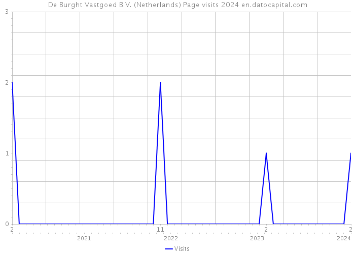 De Burght Vastgoed B.V. (Netherlands) Page visits 2024 