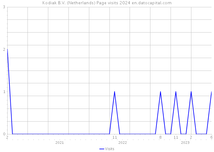 Kodiak B.V. (Netherlands) Page visits 2024 
