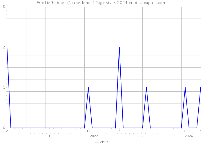Eric Liefhebber (Netherlands) Page visits 2024 