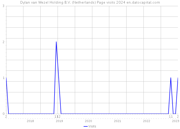Dylan van Wezel Holding B.V. (Netherlands) Page visits 2024 