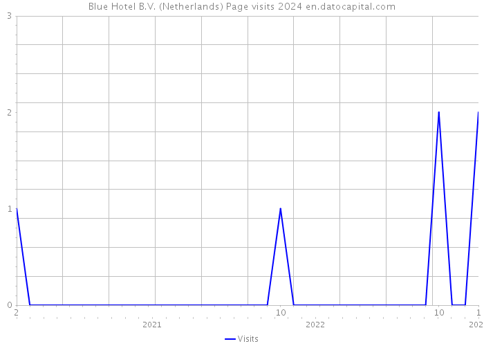 Blue Hotel B.V. (Netherlands) Page visits 2024 