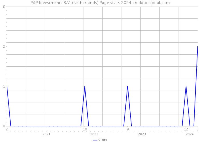 P&P Investments B.V. (Netherlands) Page visits 2024 