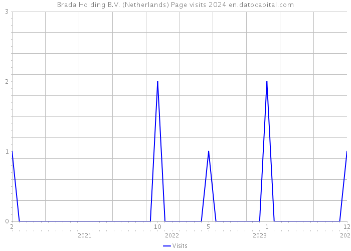 Brada Holding B.V. (Netherlands) Page visits 2024 