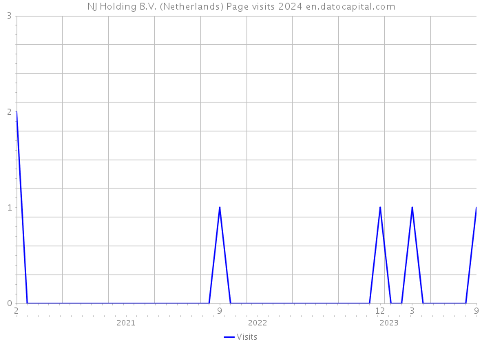 NJ Holding B.V. (Netherlands) Page visits 2024 