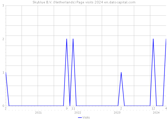Skyblue B.V. (Netherlands) Page visits 2024 