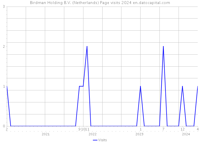 Birdman Holding B.V. (Netherlands) Page visits 2024 