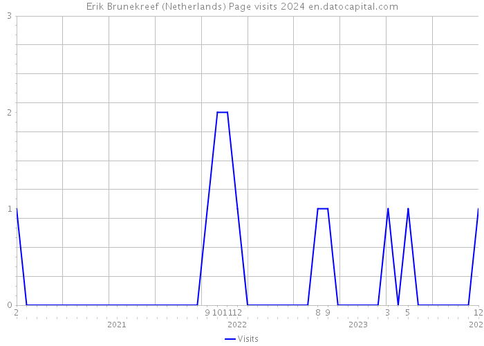Erik Brunekreef (Netherlands) Page visits 2024 