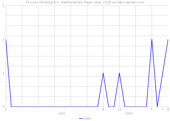 Florens Holding B.V. (Netherlands) Page visits 2024 