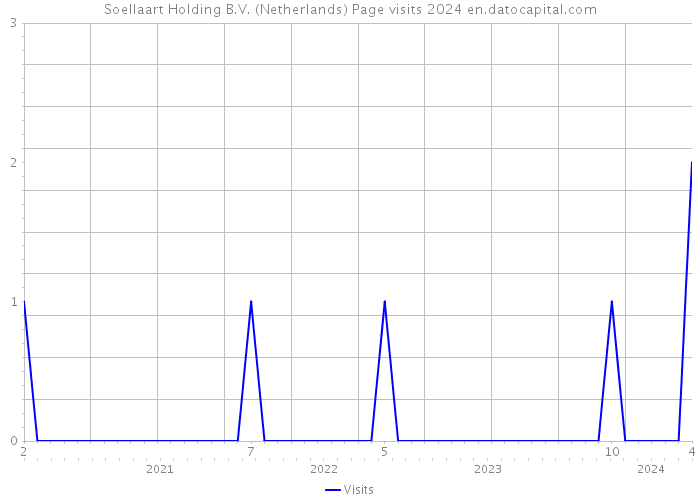 Soellaart Holding B.V. (Netherlands) Page visits 2024 