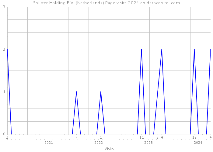 Splitter Holding B.V. (Netherlands) Page visits 2024 