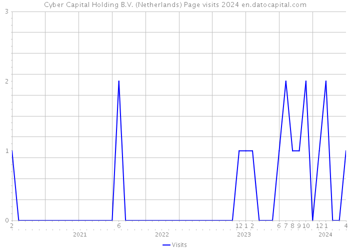 Cyber Capital Holding B.V. (Netherlands) Page visits 2024 