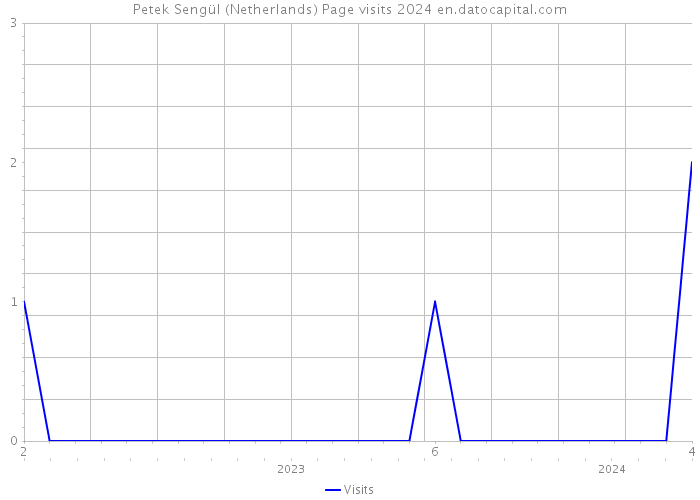 Petek Sengül (Netherlands) Page visits 2024 
