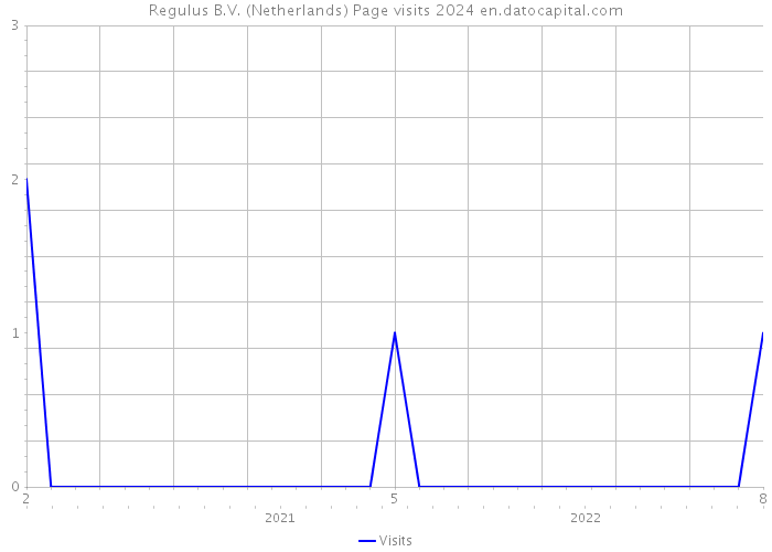 Regulus B.V. (Netherlands) Page visits 2024 