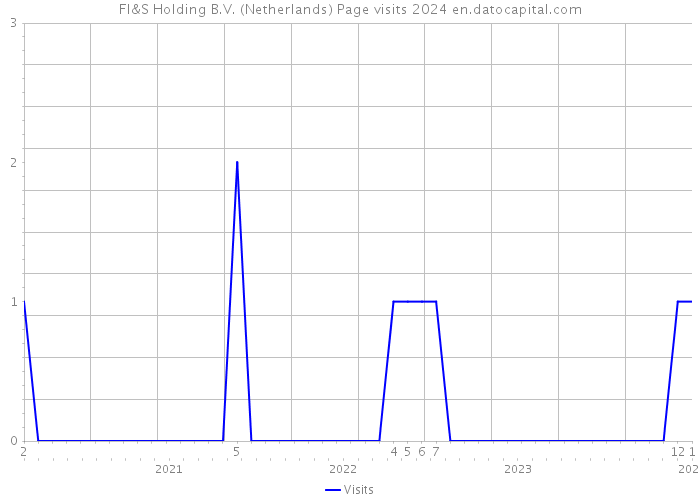FI&S Holding B.V. (Netherlands) Page visits 2024 