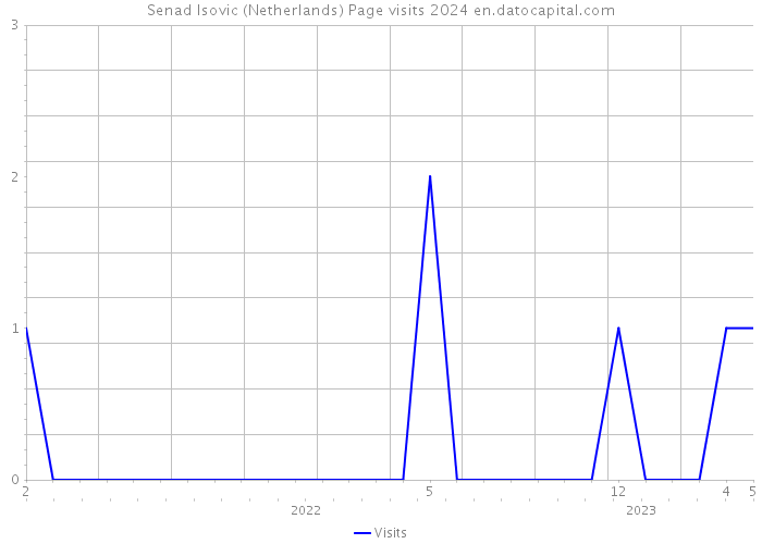 Senad Isovic (Netherlands) Page visits 2024 