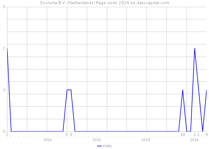 Soolsma B.V. (Netherlands) Page visits 2024 