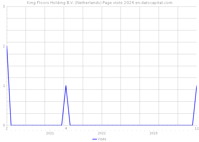 King Floors Holding B.V. (Netherlands) Page visits 2024 