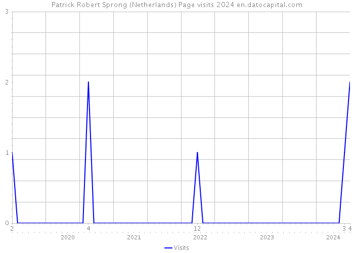 Patrick Robert Sprong (Netherlands) Page visits 2024 