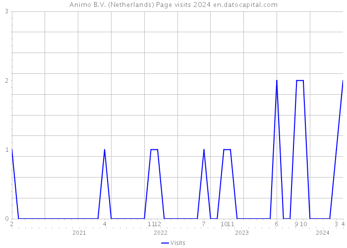 Animo B.V. (Netherlands) Page visits 2024 