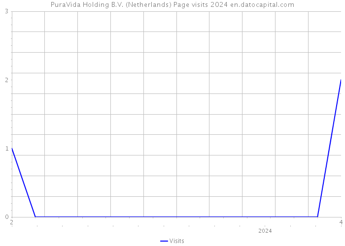 PuraVida Holding B.V. (Netherlands) Page visits 2024 