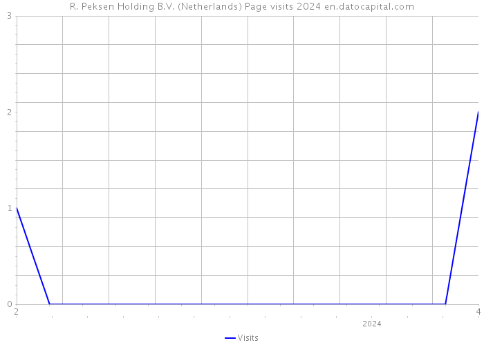 R. Peksen Holding B.V. (Netherlands) Page visits 2024 