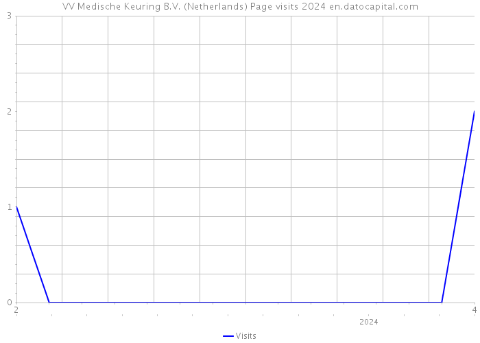 VV Medische Keuring B.V. (Netherlands) Page visits 2024 