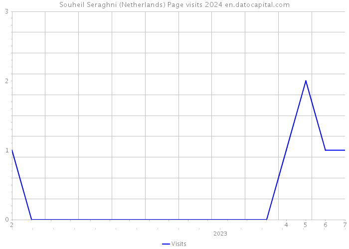 Souheil Seraghni (Netherlands) Page visits 2024 