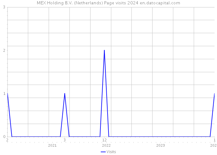 MEX Holding B.V. (Netherlands) Page visits 2024 