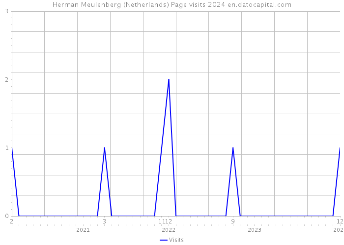 Herman Meulenberg (Netherlands) Page visits 2024 