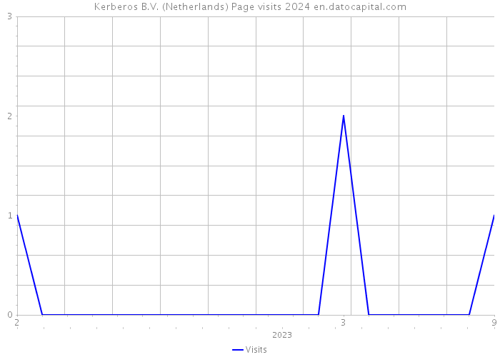 Kerberos B.V. (Netherlands) Page visits 2024 