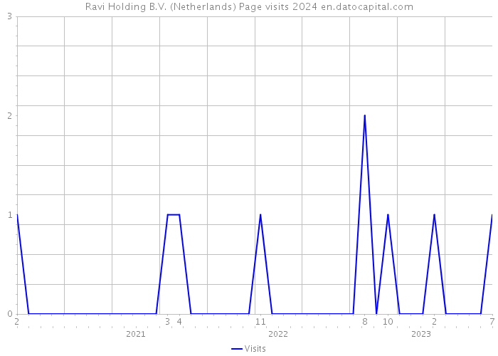 Ravi Holding B.V. (Netherlands) Page visits 2024 