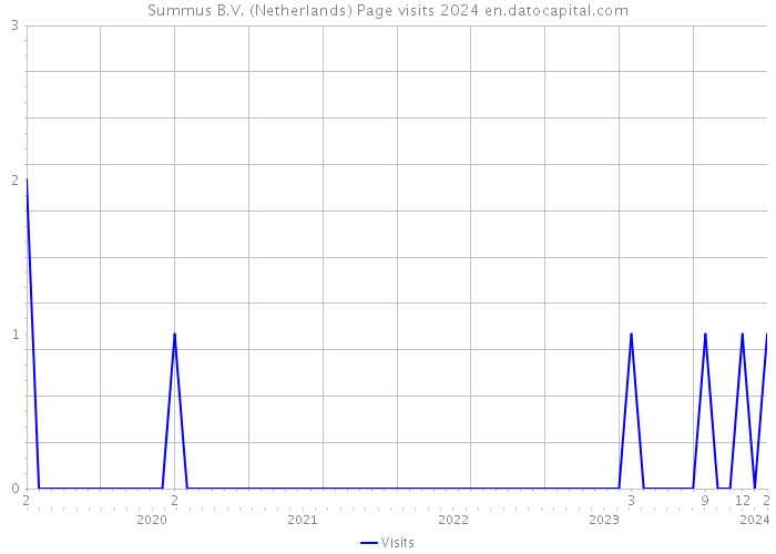 Summus B.V. (Netherlands) Page visits 2024 