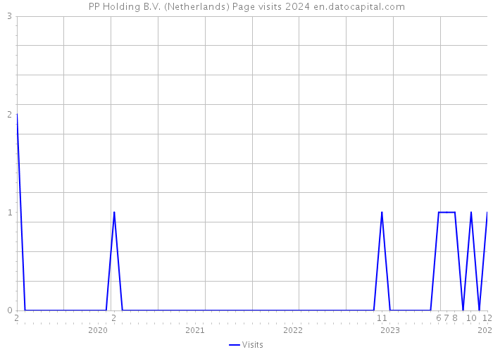 PP Holding B.V. (Netherlands) Page visits 2024 