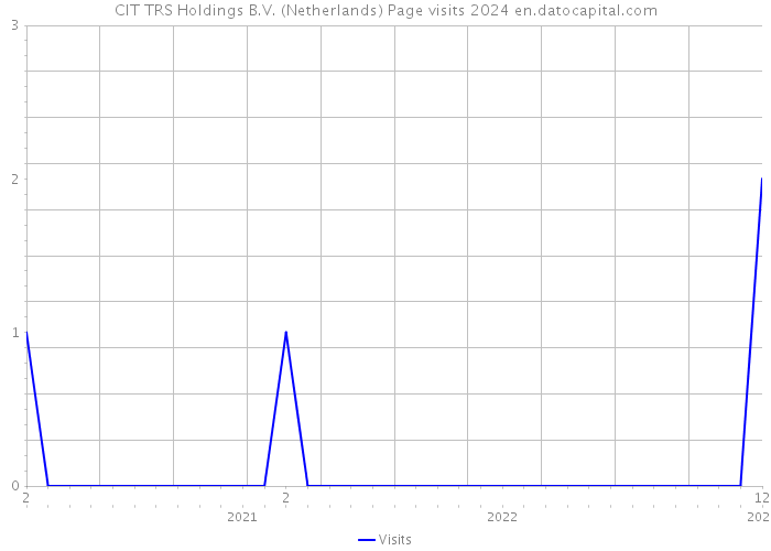 CIT TRS Holdings B.V. (Netherlands) Page visits 2024 