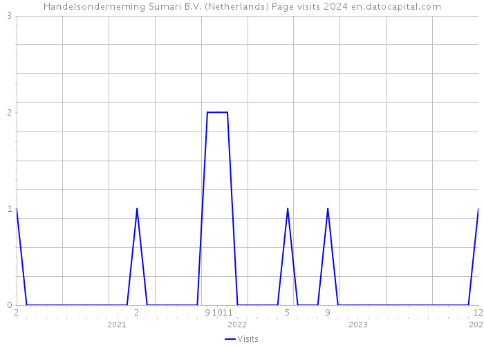 Handelsonderneming Sumari B.V. (Netherlands) Page visits 2024 