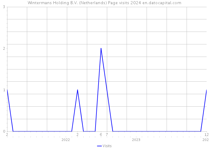 Wintermans Holding B.V. (Netherlands) Page visits 2024 