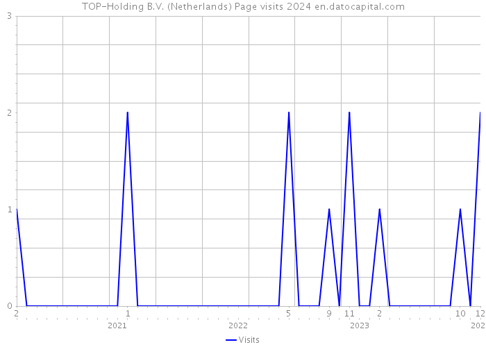 TOP-Holding B.V. (Netherlands) Page visits 2024 