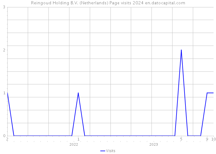 Reingoud Holding B.V. (Netherlands) Page visits 2024 