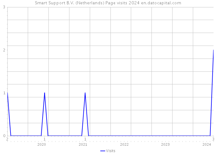 Smart Support B.V. (Netherlands) Page visits 2024 