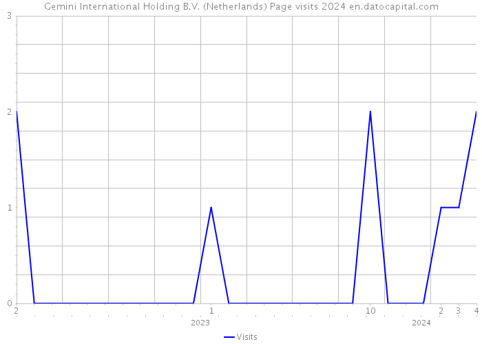Gemini International Holding B.V. (Netherlands) Page visits 2024 